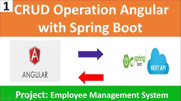 CRUD Operations Spring Boot with Angular | Employee Management System project Introduction part-1