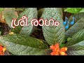    sreeragam 7notesmusics