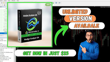 Hedge Scalper V24.2 EA MT4 (2024) | Free Download | Advanced Forex Hedging Robot