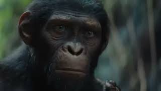 Planet Of The Apes fragman. Maymunlar cehennemi#youtube #youtuber #movie