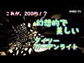 【これが200円！？】幻想的で美しい♪ダイソーのガーデンソーラーライト【100均】