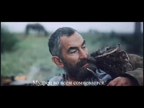 Кто Больше Знает, Дурак Или Мудрец