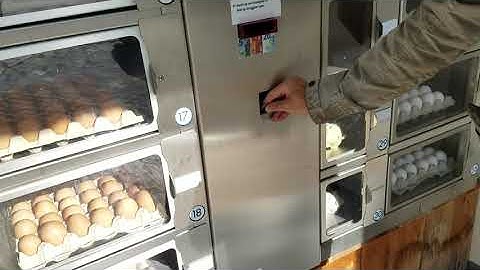 Farm vending machines are the best. Strawberries and eggs farm fresh