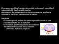 Cell Communication and Signal Transduction Pathways in Biology