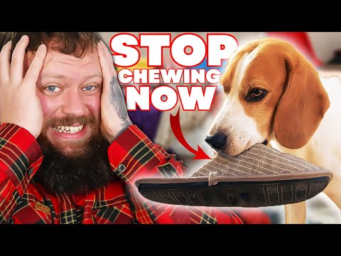 How To Stop