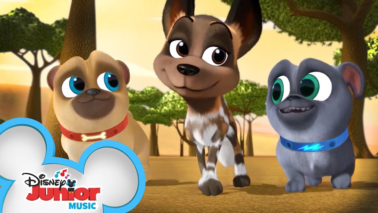 Whodunnit Disney Junior Dogs And Puppies Pals