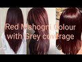 How to do RED MAHOGNI HAIR COLOR with GRAY COVERAGE I Tutorial by AISHA BUTT