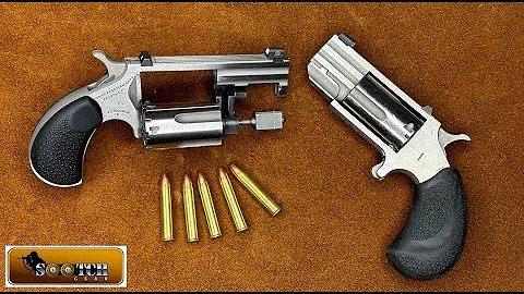 NAA Sentinel 22 Magnum Mini Revolver Review