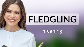 Fledgling — FLEDGLING meaning