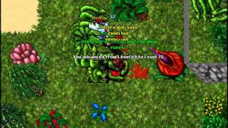 LoucoServ - Great Shield Quest