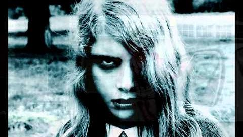 ChipBeat "Mono Zombie II"  DSI Evolver Synthesizer Demo track (march Trier 2013)