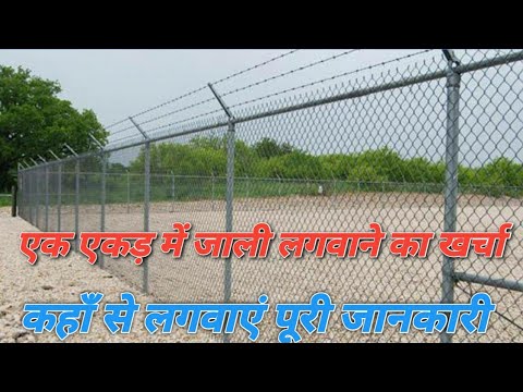 वीडियो: एक जाली में घर