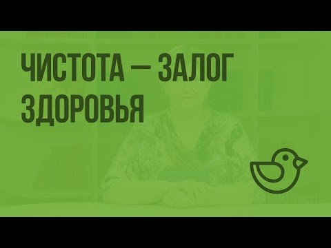 Чистота - залог здоровья. Видеоурок по окружающему миру 2  класс