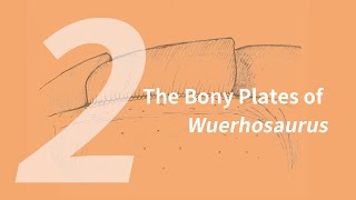 Xilin the Wuerhosaurus 2: Bony Plates | Learn to Draw Dinosaurs with ZHAO Chuang