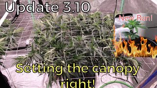 Update 3.10 | Setting up the Canopy for Success! PLUS The Next Run!