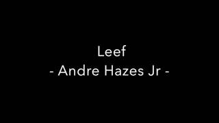 Leef   Andre Hazes jr chords