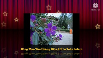 Bông Mua Tím | Hoàng Diễn & Hữu Toán bolero Tik Tok