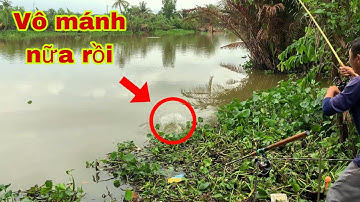 Câu Cá Tra Sông - Quăng Gãy Cần Mới Bù Lại Dính Hugo | Fishing - Miền Tây