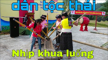 Nhịp Khua Luống Của Người Thái - Nét Văn Hóa Trong Các Lễ Hội Người Thái