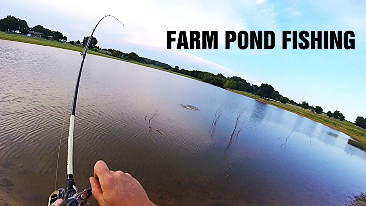 GIANT Largemouth Bass on a PRIVATE LAKE! 4th of July Fishing