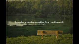 Emir Can İğrek - Yangınlı Şiir Lyrics
