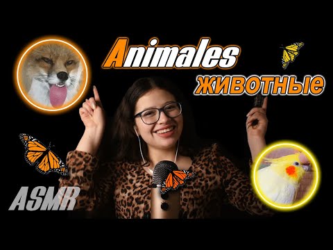 ACMP 🐾 животные на РУССКОМ и ИСПАНСКОМ 🐾💖 || Что твое любимое?🦊 || VIVI ASMR