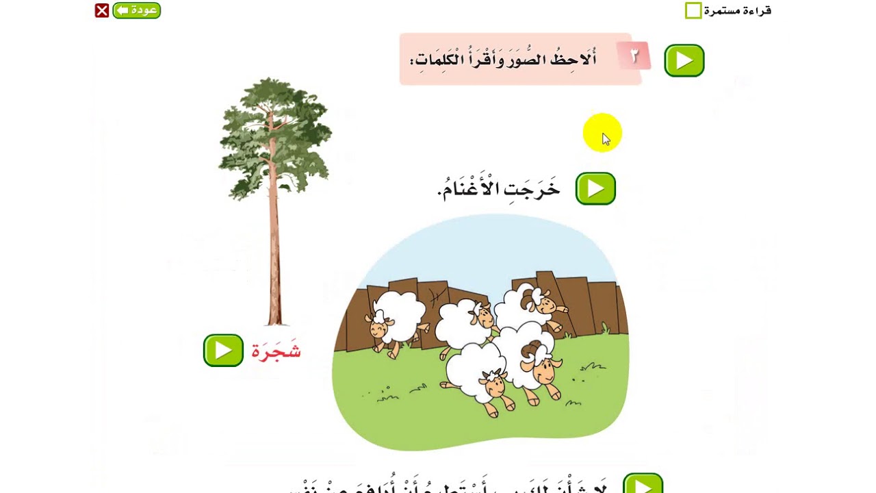 حل اسئلة درس الخروف والذئب الصف الأول Youtube