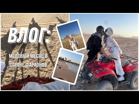 Медовый месяц в Египте💫влог из страны фараонов✨первый дайвинг✨встреча с акулой✨самое красивое море✨