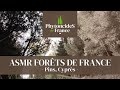ASMR Forêt De Pins Et De Cyprès Phytoncides De France ASMR Forêt De Pins Et De Cyprès Phytoncides De France