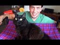 DIY Cat Hammock Upgrade |  EASY + CHEAP