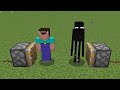 WHAT if Noob + Enderman in MINECRAFT ??