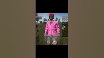DayZ in a nutshell #dayz #dayzshorts
