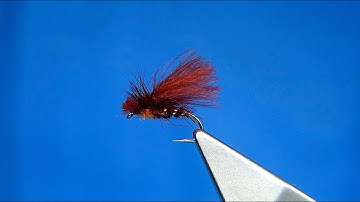 Tying a CDC Chocolate Drop Caddis Missing Link Style) by Davie McPhail