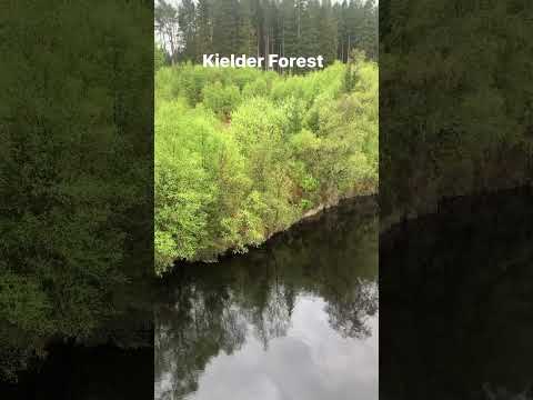 Kielder Forest & Waters #northumberland #travel #lakes #dam