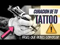 FASES de CURACIÓN de un Tatuaje en El Buho de Papel