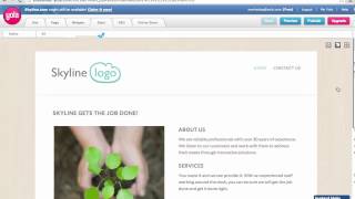 Meet Skyline: A template for businesses screenshot 3