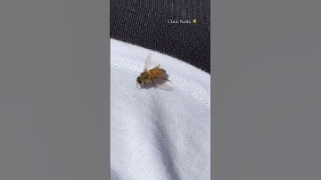 I spent the day building frames for my bee hive