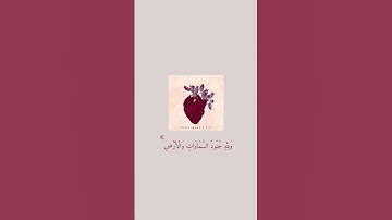 هُوَ الَّذِي أَنزَلَ السَّكِينَةَ - سورة الفتح - عبدالرحمن مسعد