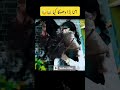 نادر سرائیکی ویڈیو نادر سرائیکی ویڈیو
