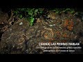 Cuando las piedras hablan: Detrás de cámaras de un catálogo de arte rupestre de Jalisco