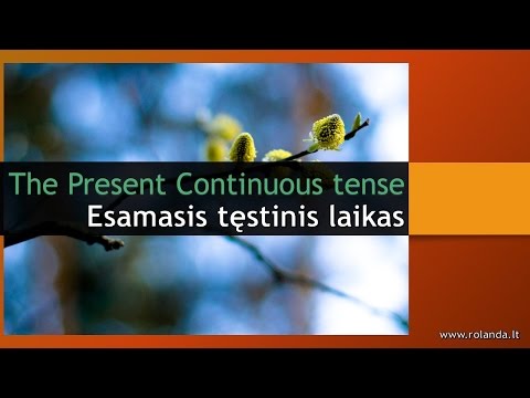 Mokomės anglų kalbos gramatikos. Present Continuous arba Esamasis tęstinis laikas. Kaip naudoti?