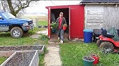 Planting asparagus and Strawberries