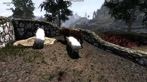 Kick-Blocked! Skyrim mod