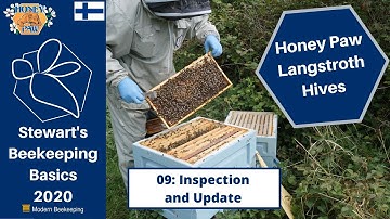 Honey Paw Hives Project: - 09: Inspection and Update - Stewart Spinks at the Norfolk Honey Co.