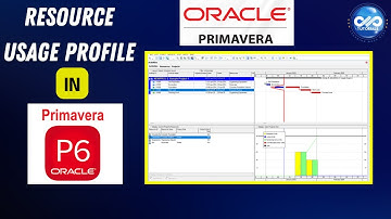 Volg resourcevertragingen en overbelastingen met behulp van het resourcegebruikprofiel in Primave...