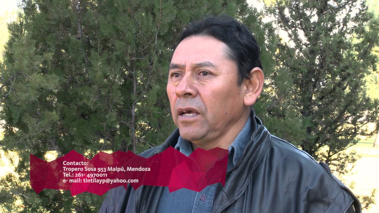 nacional b Programa de Economía Alternativa - Cooperativa Trabajo Olivícola
