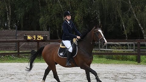 Le premier concours de Carlito !
