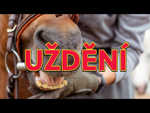 Video: Je rozdíl mezi hlavičkou a uzdou?