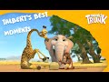 Tallbert's Best Moments – Munki and Trunk Thematic Compilation #22