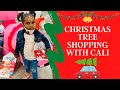 Cali Goes Christmas Tree Shopping | iLuvCali